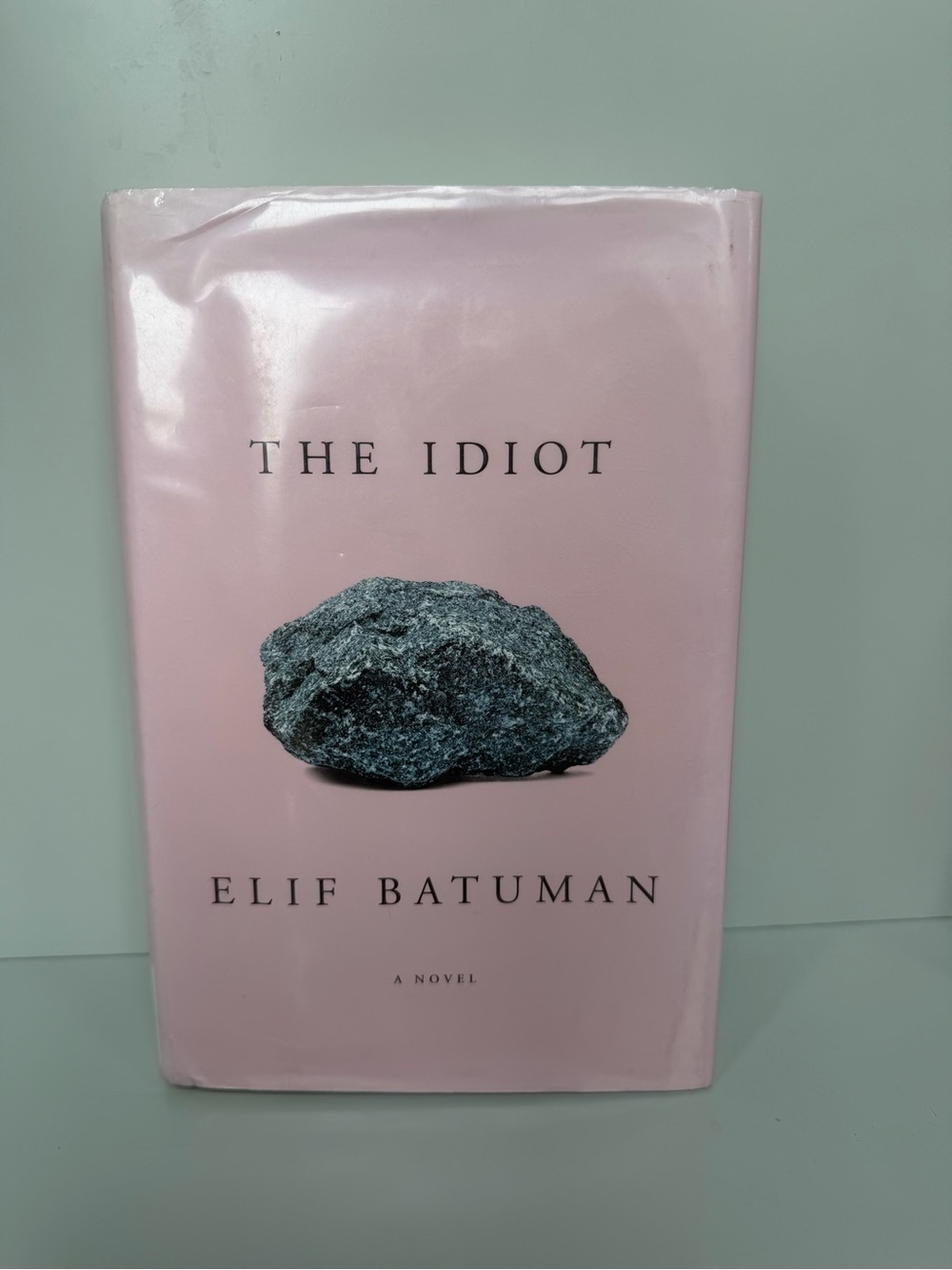 Elif Batuman The Idiot - Hardcover Novel